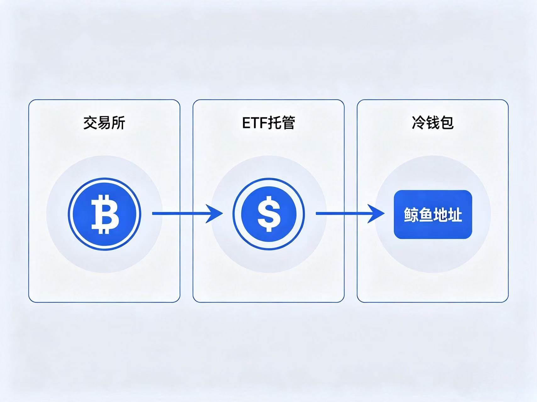 BTC 流向分析插画 BTC 流向分析插画